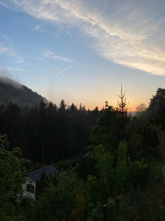 Vip Haus Winterberg Villa ภายนอก รูปภาพ